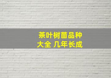 茶叶树苗品种大全 几年长成